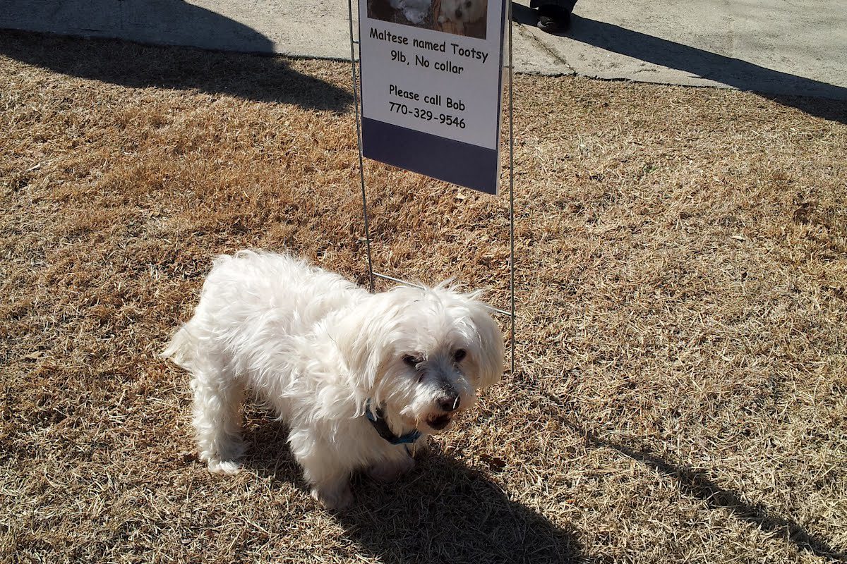 When your pet is lost Pet Fixer Mobile & Virtual Veterinary Service